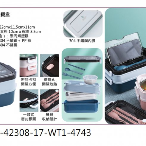 I008-42308-17-WT1-4743