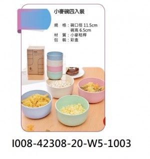 I008-42308-20-W5-1003