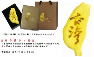 12221-259-TWN101-2504